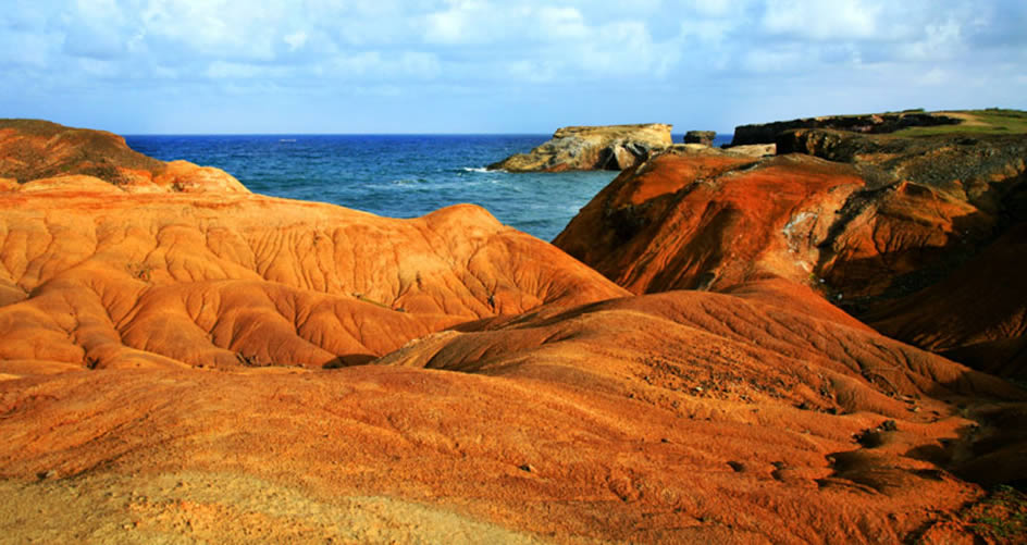 Savane des pétrifications