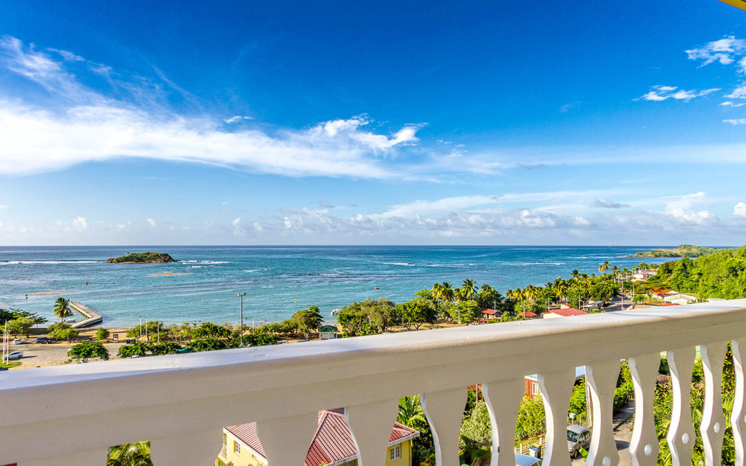 Comment choisir une agence de location de voiture à la Martinique ?